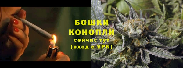 ALPHA PVP Гусиноозёрск