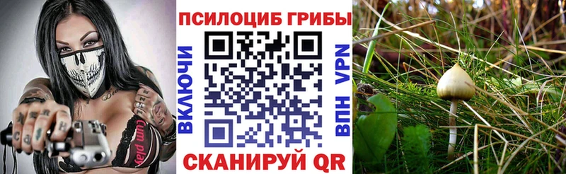 купить наркотики сайты blacksprut Галлюциногенные грибы MAGIC MUSHROOMS Северодвинск